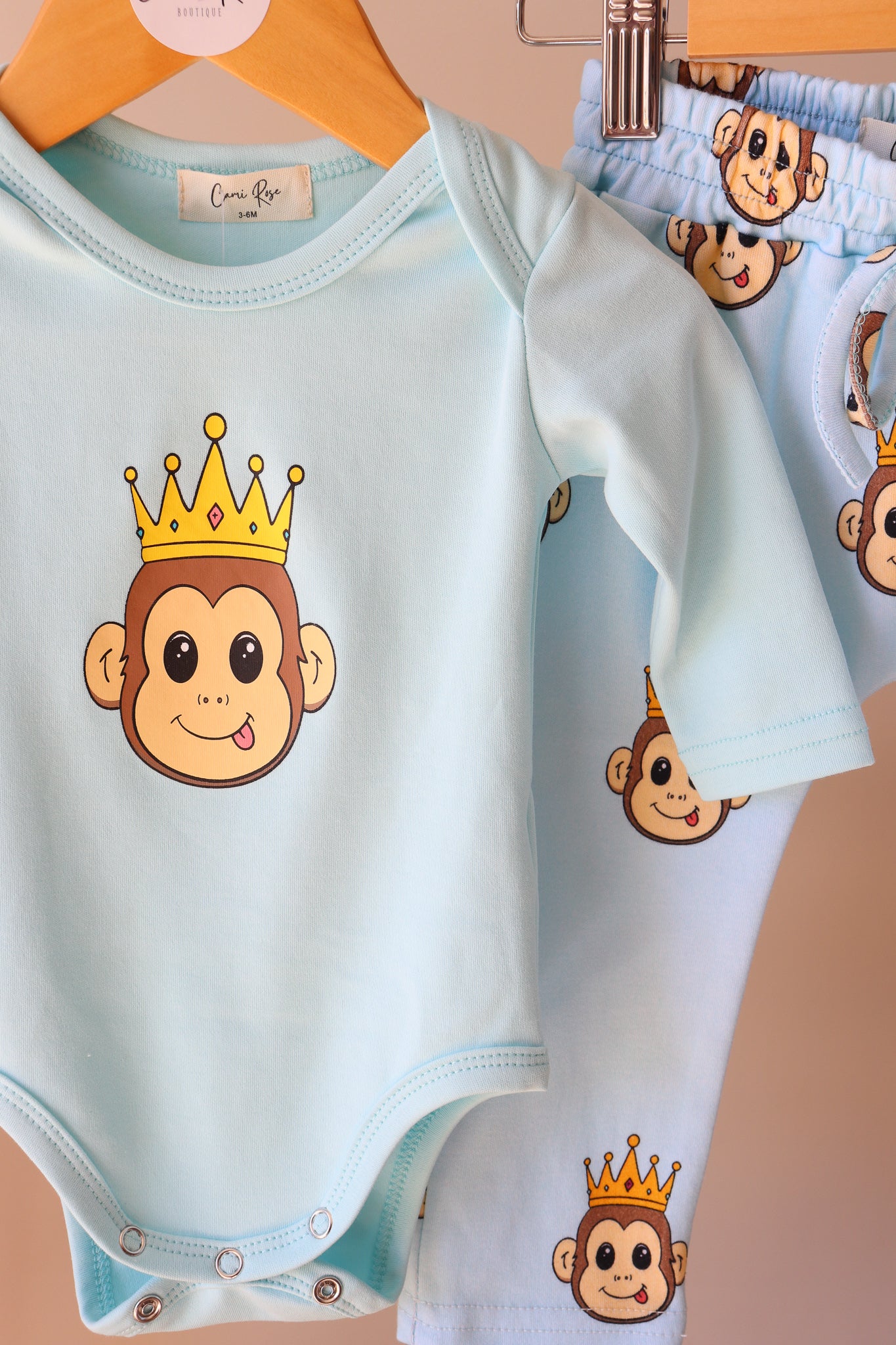 baby blue long sleeve romper with a cute monkey design